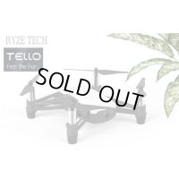  Ryze　TELLO　（DJI技術投入RyzeTech社　高性能ホビー用ドローン）【13805】