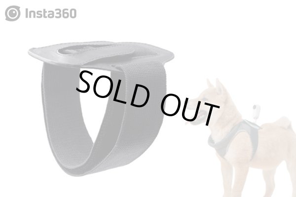 画像1: Insta360 GO 2 ペットストラップマウント【ピボットスタンド対応】【18507】 (1)